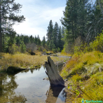 Coldstream, Truckee – Quiet Use