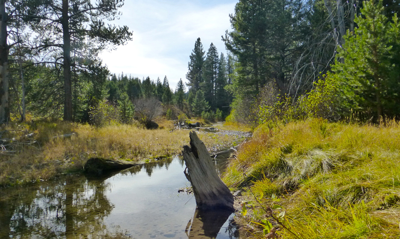 Truckee approves Coldstream Development