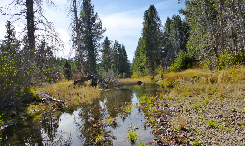 Coldstream Canyon In Truckee, CA