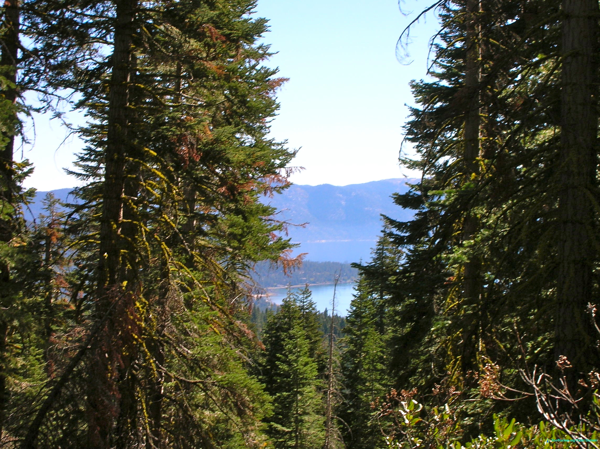 View of Lake Tahoe from Tahoe Rim Trail