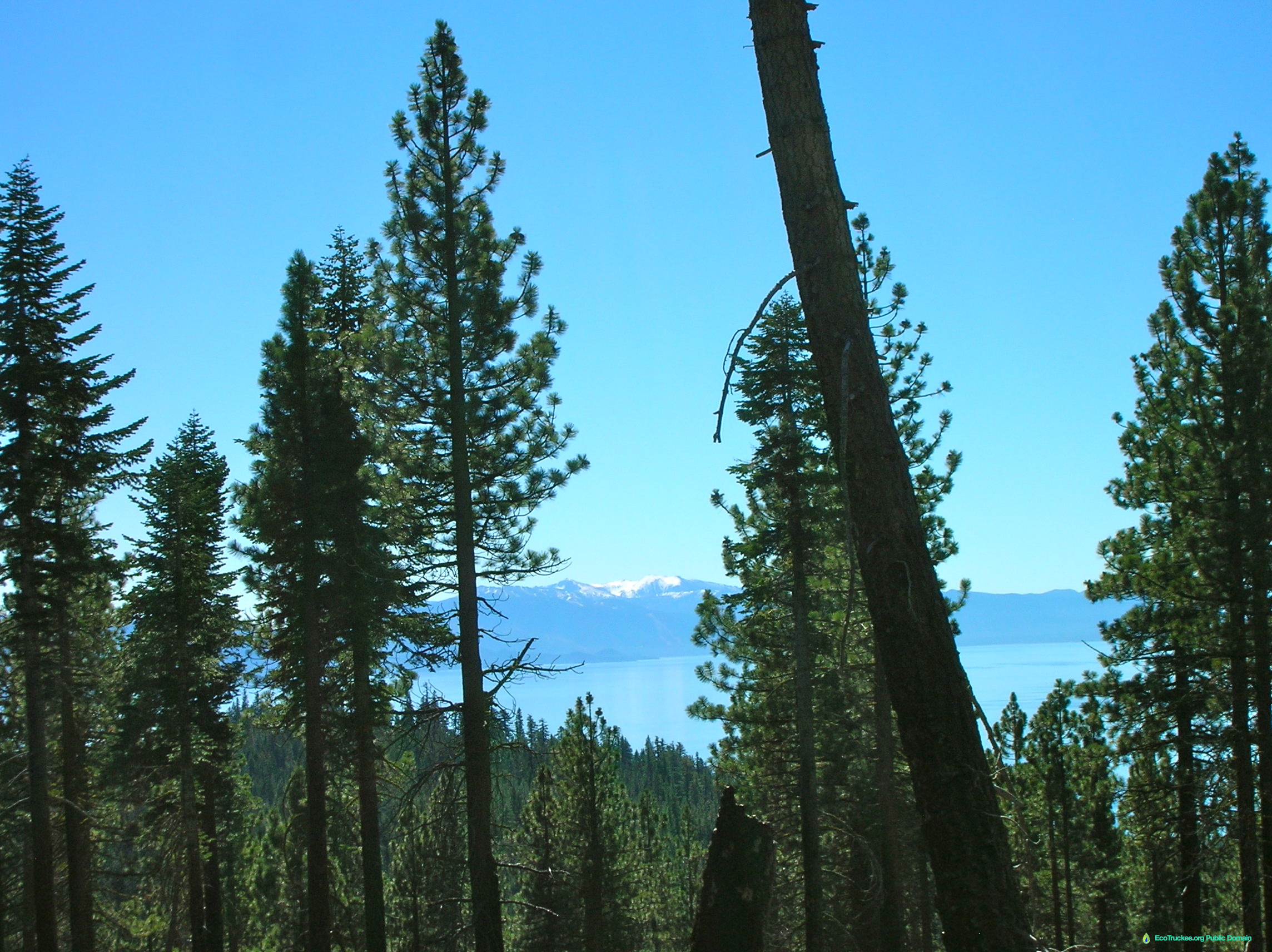 Lake Tahoe from Rim Trail