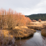 Martis Creek – Protect Quiet Trails