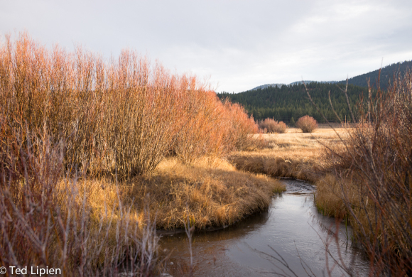 Martis Creek – Protect Quiet Trails