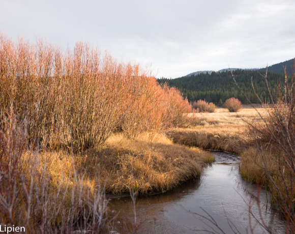 Martis Creek – Protect Quiet Trails