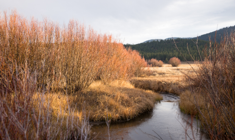 Martis Creek – Protect Quiet Trails