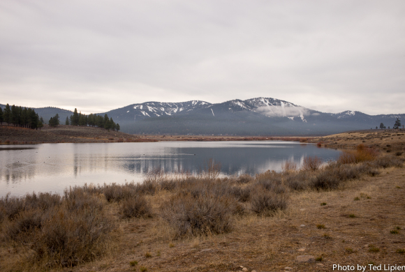 Truckee neighbors talk dogs, environment and jet noise