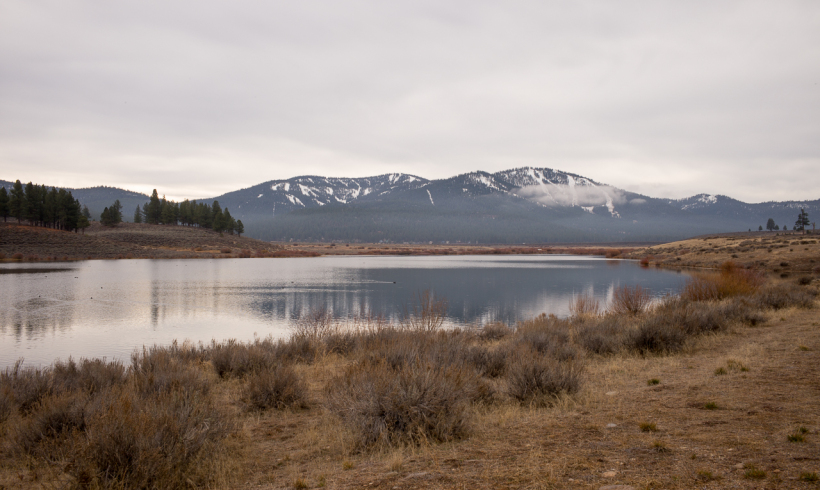 Truckee neighbors talk dogs, environment and jet noise