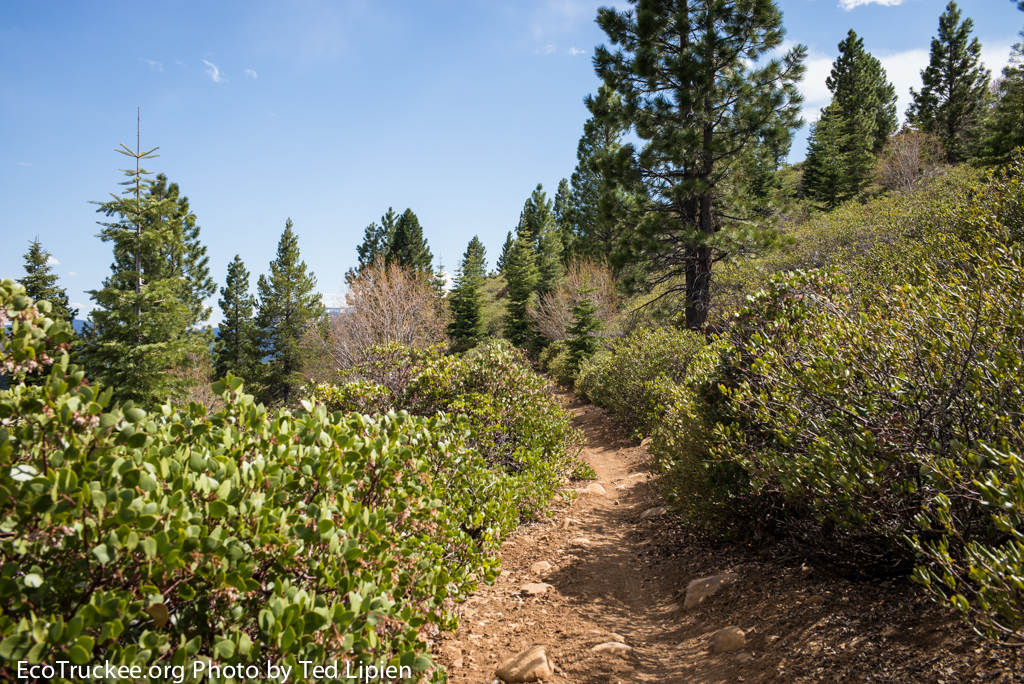 Prosser Hill Trail