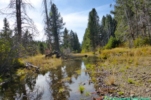 Coldstream Canyon In Truckee, CA, Oct. 22, 2014